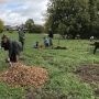 Invitation citoyenne à une journée de plantation à L’Espace Cécile-Deschamps