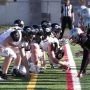 Football collégial – Match de demi-finale : le Noir et Or reçoit les Lynx