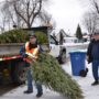 Collecte de sapins de Noël dès le 13 janvier à Châteauguay