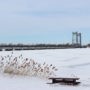 Le pont Larocque fermé complètement entre 8 et 16h le 22 février