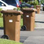 Pour un bon compost : rappel des matières acceptées dans le bac brun