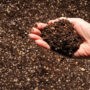 Compost gratuit : nouvelle distribution le 23 mai