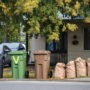 Le bac brun pour les feuilles mortes et résidus verts