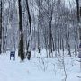 Chasse au trésor au Parc régional des Îles-de-Saint-Timothée