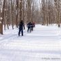 L’hiver au Centre écologique Fernand-Seguin