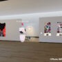 Exposition virtuelle des finissant(e)s en arts visuels du Collège de Valleyfield