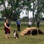 Nouveau parc canin à Beauharnois