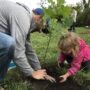 1 000 arbres plantés à Salaberry-de-Valleyfield