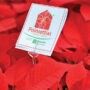 Lancement de la campagne poinsettias au profit de la Maison de soins palliatifs