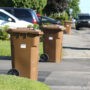 Comment éviter la contamination de son bac brun
