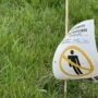 Traitement des pelouses et araignées : vigilance dans le choix des entrepreneurs