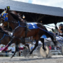 Impressionnantes courses de chevaux ce week-end à Ormstown