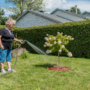 Près de 1000 arbres plantés par les citoyens de Mercier depuis 2018