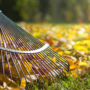 Recourir au bac brun pour disposer de ses feuilles mortes et résidus verts