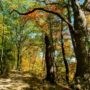 La région de Beauharnois-Salaberry idéale pour les randonnées d’automne
