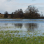 Inondations : mises à jour sur la situation à Rigaud