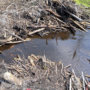 Exondation du lac aux Castors au mont Rigaud