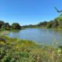 Une étude confirme la qualité de l’eau de la rivière Châteauguay à Mercier