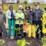 Une nouvelle micro-forêt prend racine à Châteauguay