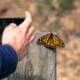 Opération de nettoyage et bioblitz à venir à Vaudreuil-Dorion