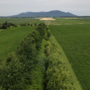 Agriculture durable et biodiversité grâce au programme ALUS Montérégie