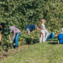 Semaine de la biodiversité – Programmation bonifiée pour le 150e