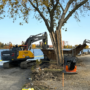 Fermeture du parc Delpha-Sauvé pour deux mois