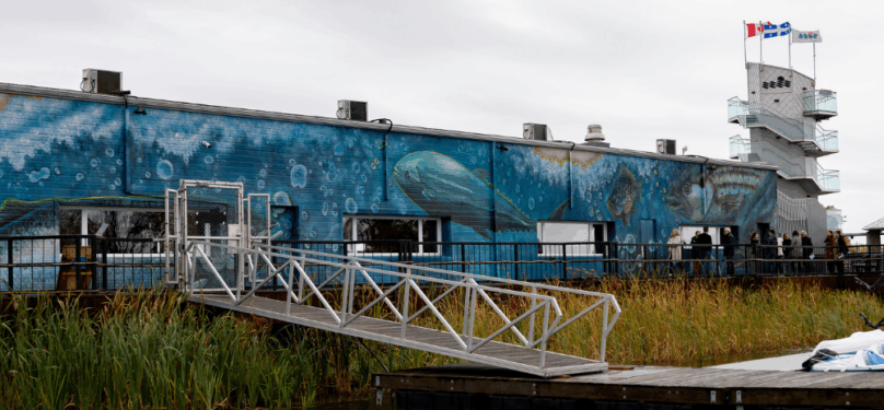 Cinq murales en réalité augmentée à Salaberry-de-Valleyfield Cinq murales en réalité augmentée à Salaberry-de-Valleyfield