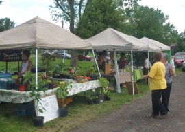 Marché Champêtre de Sainte-Martine (Photo INFOSuroit.com)