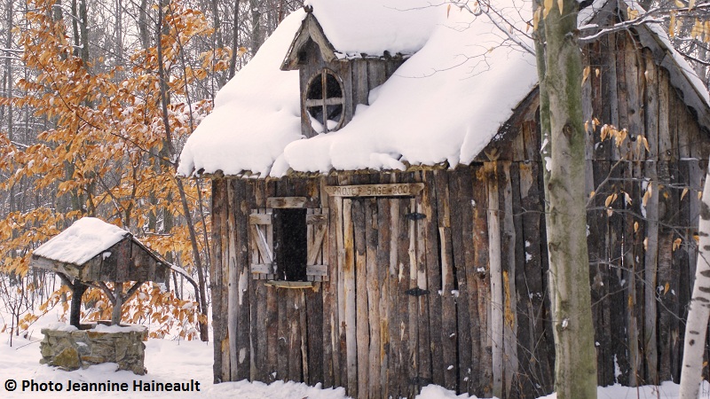 La Base De Plein Air Des Cedres Annexee A Saint Lazare Infosuroit Com La Base De Plein Air Des Cedres Annexee A Saint Lazare Infosuroit Com
