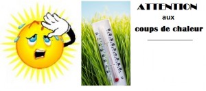 Canicule-chaleur-accablante-soleil-thermometre-attention-publie-par-INFOSuroit