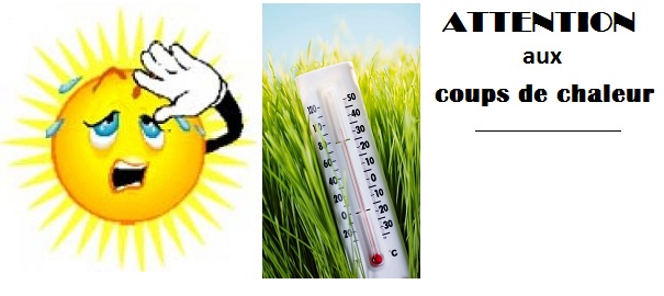 Chaleur Accablante Prenez Le Temps De Vous Rafraichir Infosuroit Com Chaleur Accablante Prenez Le Temps De Vous Rafraichir Infosuroit Com