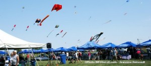 BeauVENTois-2011-cerfs-volants-ciel-bleu-Photo-INFOSuroit-com_Jeannine-Haineault