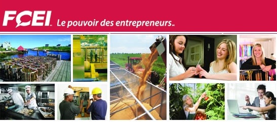 Fédération canadienne de l entreprise indépendante