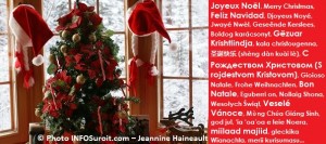 Noel-decorations-sapin-temps-des-fetes-Photo-INFOSuroit_com-Jeannine_Haineault_et_Voeux