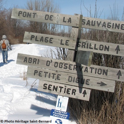 Refuge-faunique-Marguerite-D-Youville-Sentier-Photo-courtoisie-Heritage-Saint-Bernard-publiee-par-INFOSuroit-com_