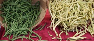 Marche_Fermier_comte-Huntingdon-panier-haricots-Photo-INFOSuroit_com_Jeannine_Haineault