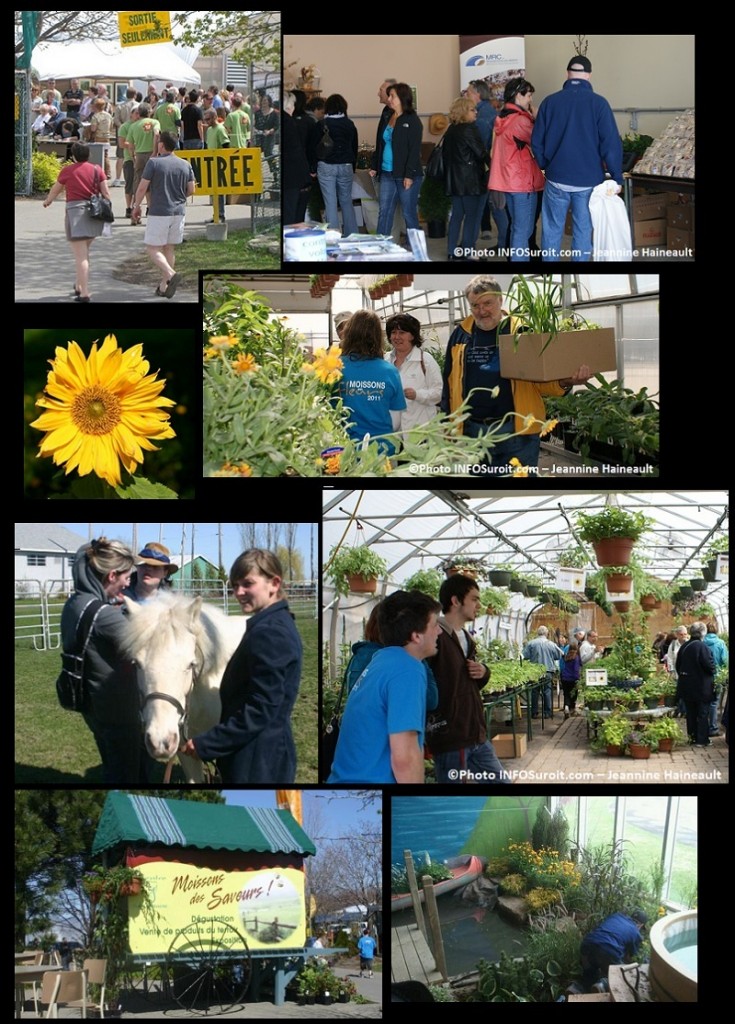 Avis Sur Les Moissons Du Printemps Moissons en fleurs 2012 dès le 27 avril à Beauharnois | INFOSuroit.com