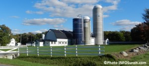 Ferme-Normand-Amesse-Salaberry-de-Valleyfield-Photo-INFOSuroit-com_