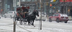 Balades-en-caleche-au-centre-ville-de-Salaberry-de-Valleyfield-Photo-courtoisie-publiee-par-INFOSuroit_com_