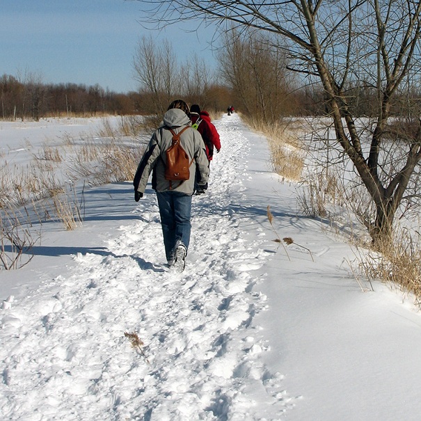 Hiver sentier Refuge faunique Marguerite_D_Youville Photo Heritage_St-Bernard publiee par INFOSuroit_com