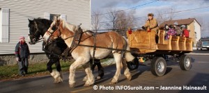 Marche-de-Noel_St-Anicet_Chevaux_Caleche_Photo_INFOSuroit.com_Jeannine-Haineault