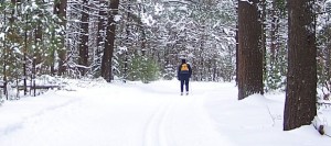 Base_de_Plein_air_des_Cedres-Skieur-de-fond-dans-les-bois-Neige-blanche-Photo-courtoisie-Tourisme-Suroit