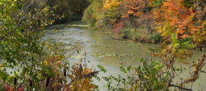 riviere-St-Louis-film-l_eau-culte-riviere-Photo-cineaste-Andre-Desrochers