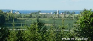 Terres-agricoles-et-lac-a-partir-du-Vignoble-Cote-de-Vaudreuil-Photo-INFOSuroit-com_