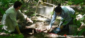 Fouilles-archeologique-pour-Pointe-du-Buisson-avec-archeologues-Photo-INFOSuroit