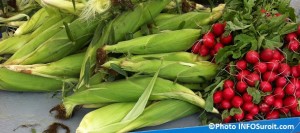 ble-d-Inde-radis-legumes-marche-public-regional-Photo-INFOSuroit_com