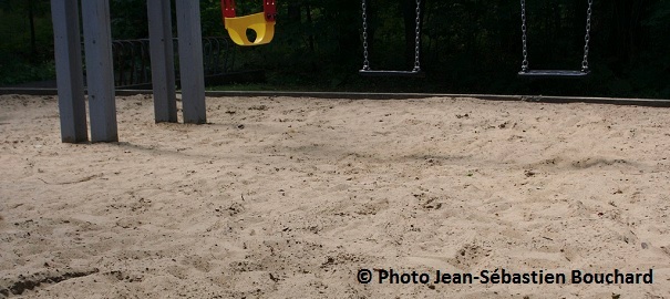sable-des-Aires-de-jeu-ideal-pour-les-guepes-de-sable-Photo-Jean-Sebastien_Bouchard
