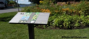 Jardin-Andre-Bouchard-a-la-CRE-Vallee-du-Haut-Saint-Laurent-a-Valleyfield-Photo-INFOSuroit_com