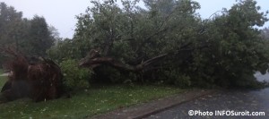 Orage-violent-Saint-Anicet-arbre-deracine-photo-INFOSuroit_com